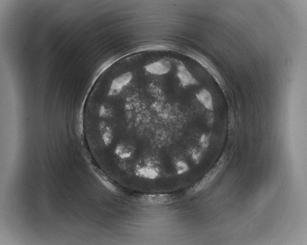 X0000115120858200911241346