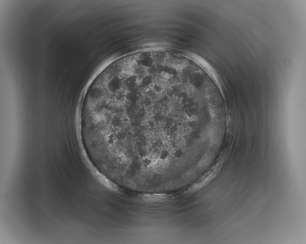 X0000115120859200911241346