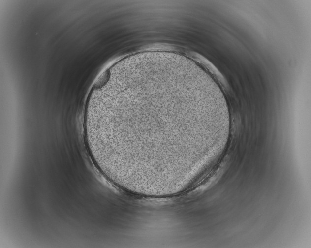 X0000115120860200911241346