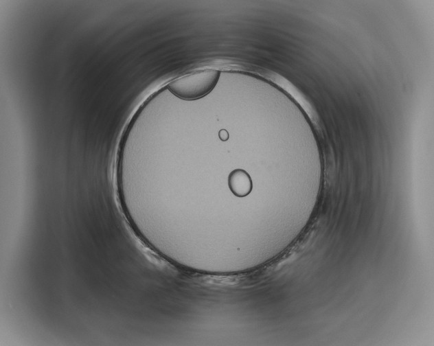 X0000115120861200911241346