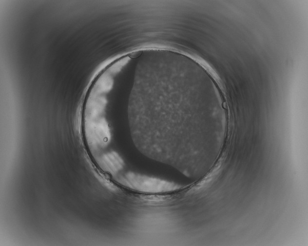 X0000115120862200911241346