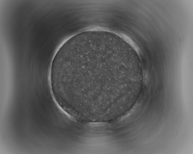 X0000115120863200911241346