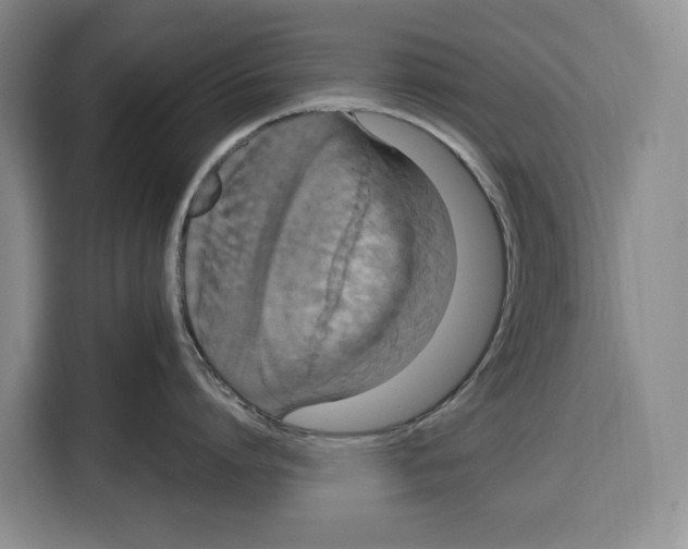 X0000115120864200911241346