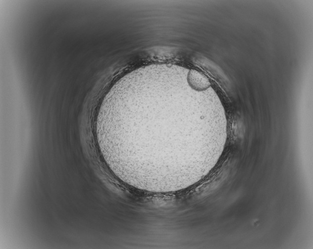 X0000115120865200911241345