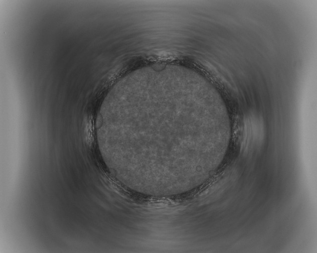 X0000115120866200911241345