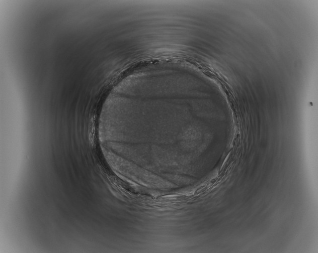 X0000115120868200911241345