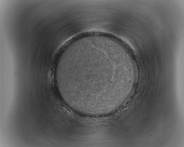 X0000115120872200911241345