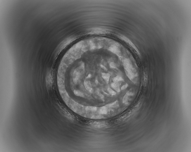 X0000115120874200911241345