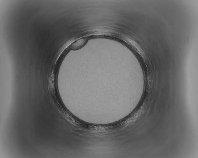 X0000115120875200911241345