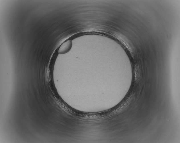 X0000115120876200911241345