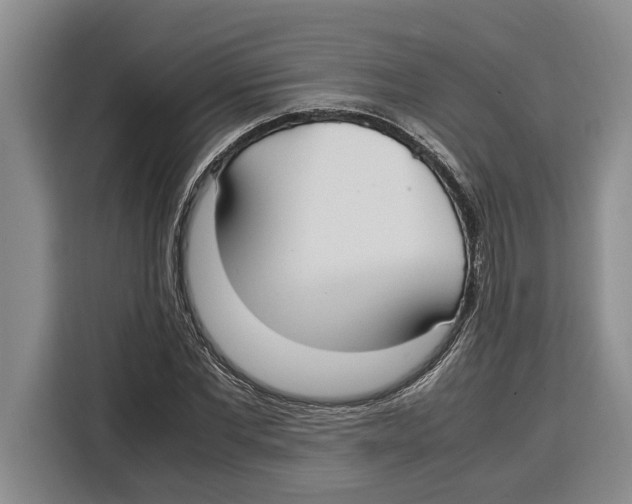 X0000115120877200911241345