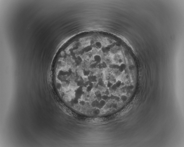 X0000115120879200911241345