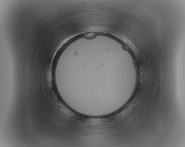 X0000115120880200911241345