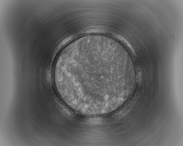 X0000115120882200911241345