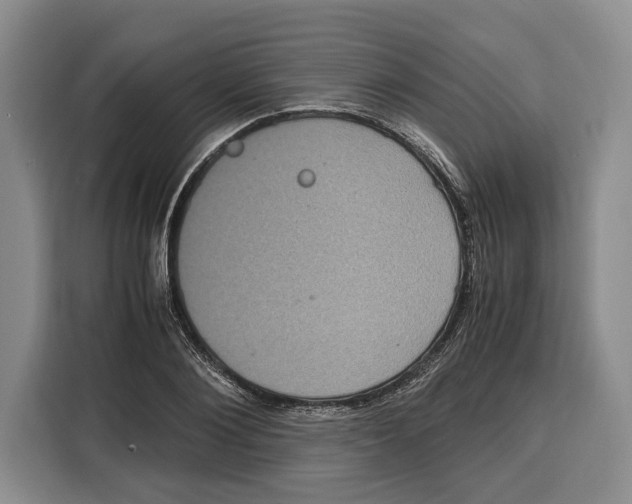 X0000115120884200911241345