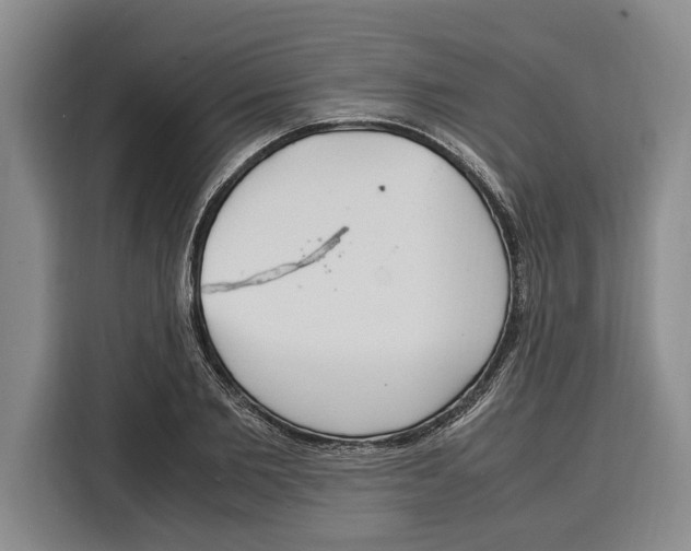 X0000115120885200911241345