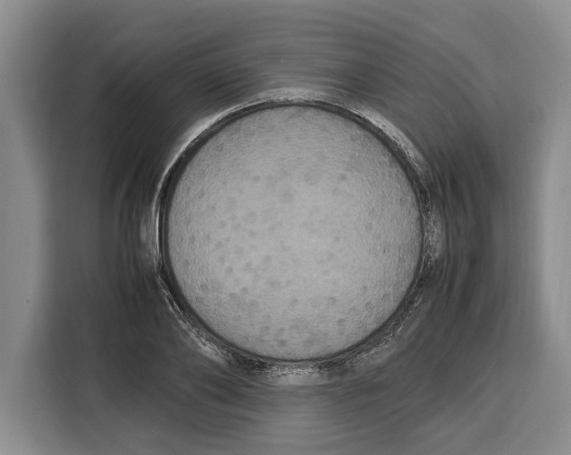 X0000115120886200911241345