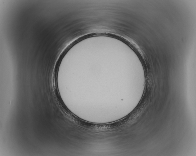 X0000115120887200911241345