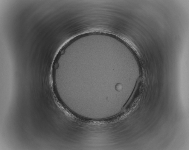 X0000115120888200911241345