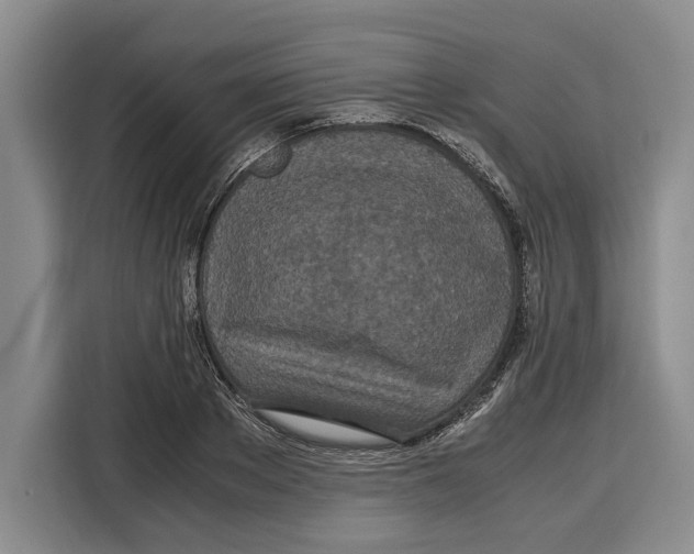 X0000115120889200911241345