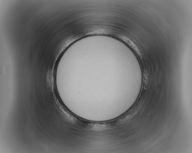 X0000115120890200911241345