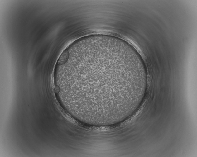 X0000115120891200911241345