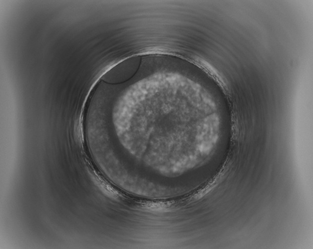 X0000115120892200911241345