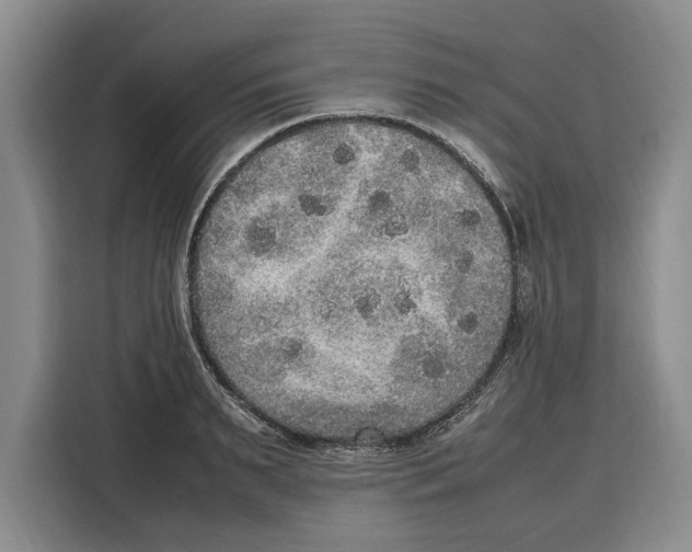 X0000115120895200911241345