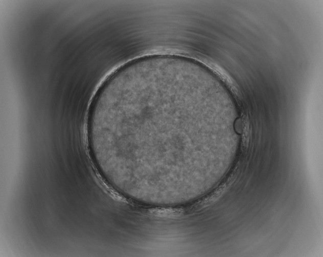 X0000115120896200911241345