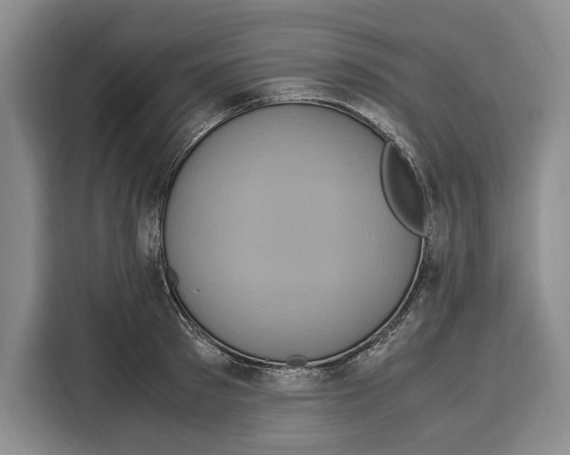 X0000115120897200911241345