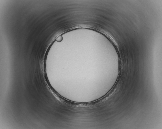 X0000115120898200911241345