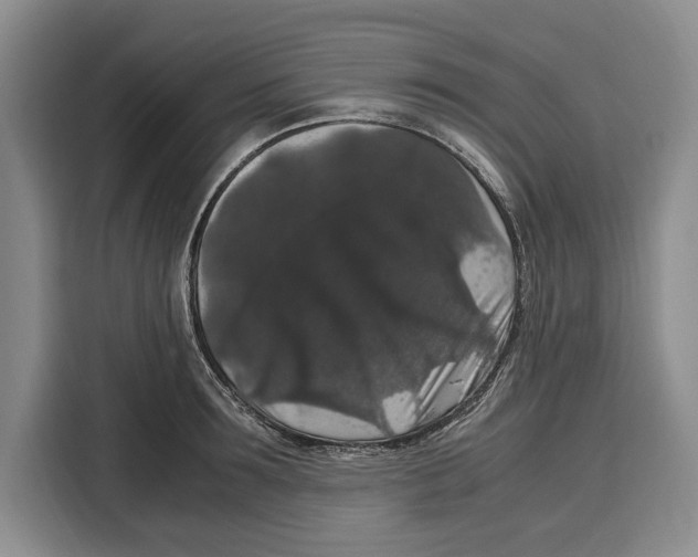 X0000115120899200911241345