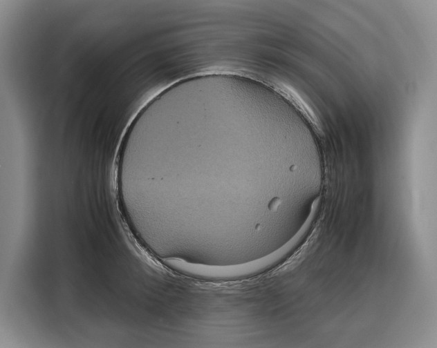 X0000115120900200911241345