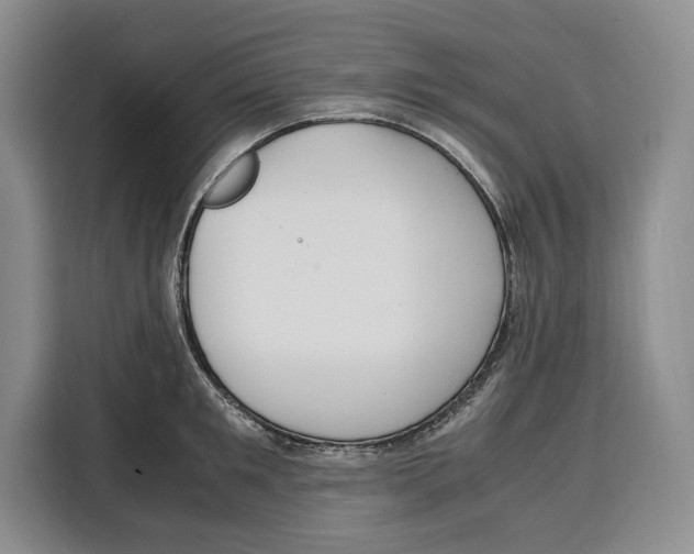 X0000115120901200911241345