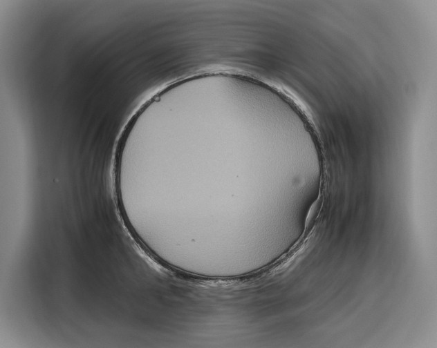 X0000115120902200911241345