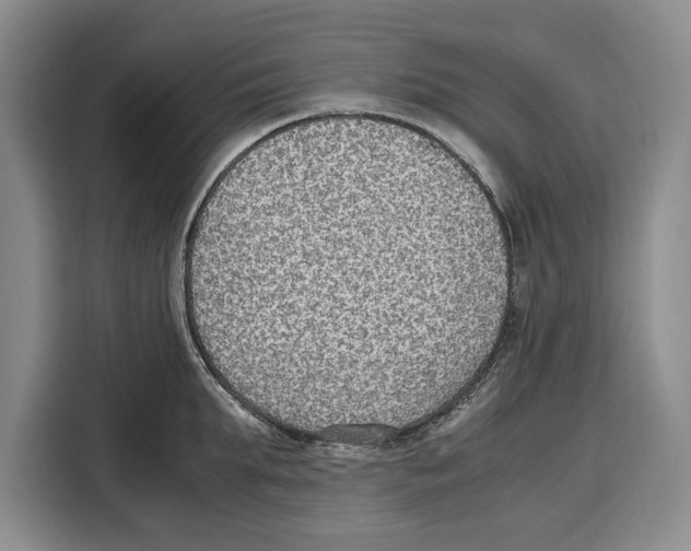 X0000115120903200911241345