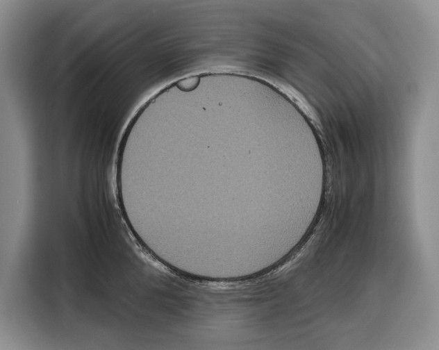 X0000115120904200911241345