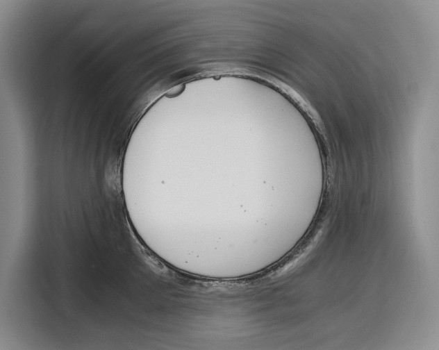 X0000115120905200911241345