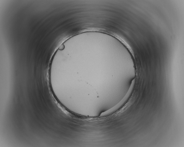 X0000115120906200911241345