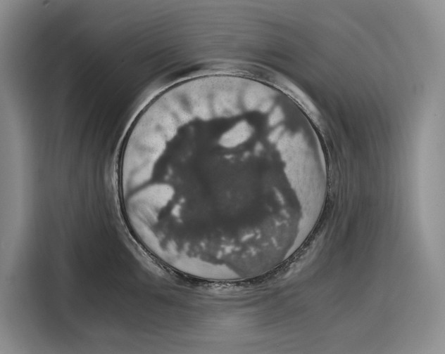 X0000115120907200911241345