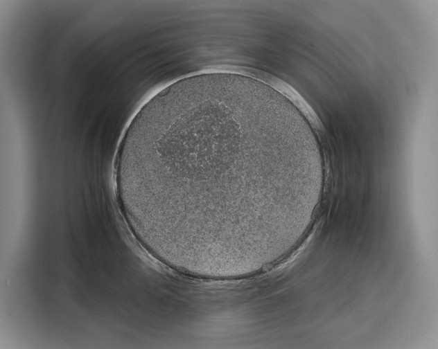 X0000115120908200911241345