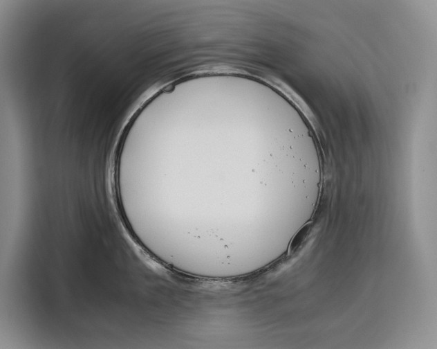 X0000115120909200911241345