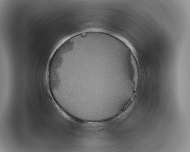 X0000115120910200911241345