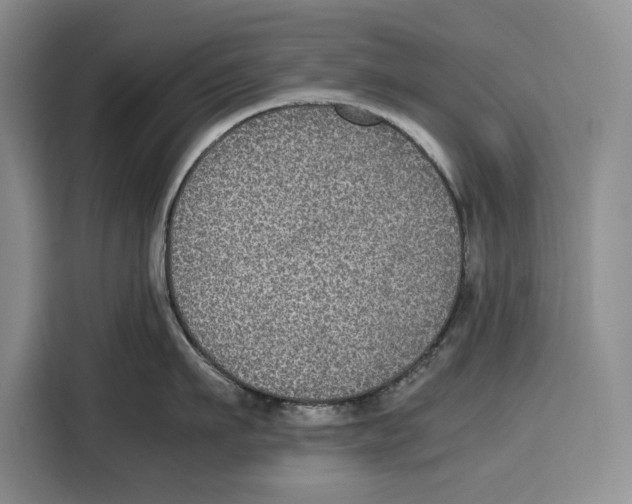 X0000115120911200911241345