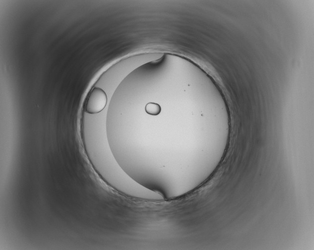 X0000115120912200911241345