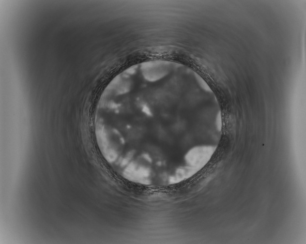 X0000115120913200911241344