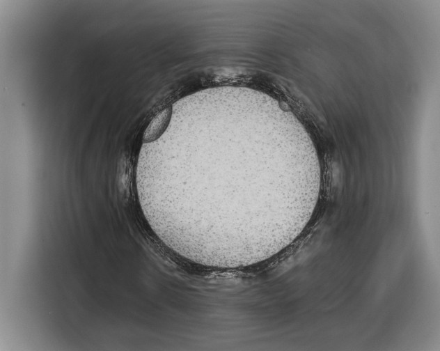 X0000115120914200911241344