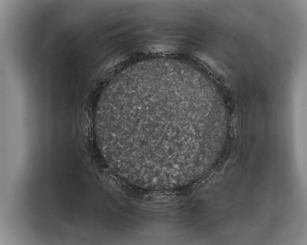 X0000115120917200911241344