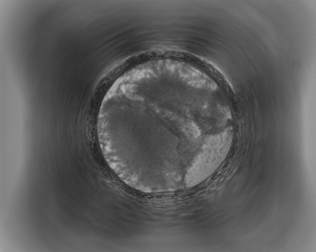 X0000115120919200911241344