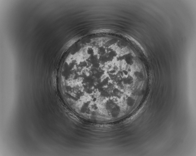 X0000115120921200911241344